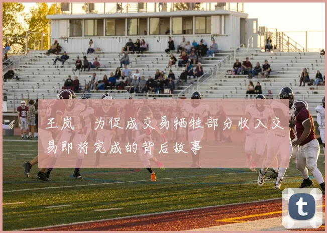 王岚嵚为促成交易牺牲部分收入交易即将完成的背后故事
