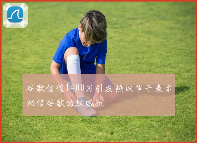 谷歌估值1400万引发热议华子表示相信谷歌的权威性