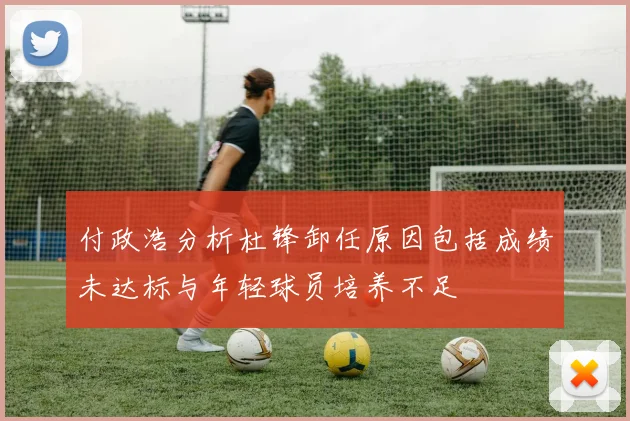 付政浩分析杜锋卸任原因包括成绩未达标与年轻球员培养不足